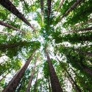 waarzegger Natasha- Hi, ik ben er voor jou voor als jij even de bomen door het bos niet meer ziet staan. Ik zet jou graag in je volle kracht en eigen energie stel jezelf a.u.b. ook open voor mij. Alleen dan kunnen wij samen kijken wat voor advies bij jou past en wat jouw toekomst jou mag brengen. Ik help je zeer graag bij een rouwproces of gemis van een dierbare. Wellicht mag ik wel een mooie boodschap aan u doorgeven. Mijn doel is om jou met een glimlach en inzicht achter het scherm vandaan te laten gaan en dat jij verder kunt met mijn inzichten. Waarzeglijn waar een waarzegger je toekomst voorspelt. Waarzeggers geven live advies.